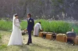 007 결혼 작전? 깜짝 결혼 발표한 스타들