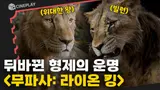 가장 가까운 형제, 적이 되어 맞서다? 30년 만에 밝혀진 비밀! [무파사: 라이온 킹]