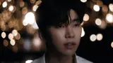 임영웅, 신곡 '들꽃이 될게요' 뮤직비디오 공개