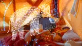 コレクティオで出会う、全州市映画プロジェクト未公開作品11本