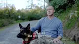 Four dogs playing one? ‘Heart of the Beast’ books ‘Best Canine Actor’ award over Brad Pitt!