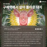 [First Reaction] Cineplay Critic’s Star Rating for ‘Pig That Survived Foot-and-Mouth Disease’