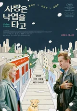 6년 만에 은퇴를 번복하고 돌아온 핀란드 영화 거장의 달콤씁쓸한 멜로〈사랑은 낙엽을 타고〉
