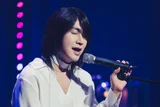 ¡Salida global de “Te gusta”! “Wild Sing” se confirma su estreno mundial el 31 de julio en Netflix