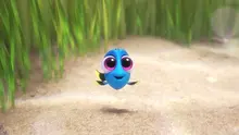 <도리를 찾아서> 관객 리뷰