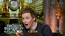 수능 마친 수험생들에게 권하는 영화 10편