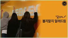 [관객출구조사] '모아나', 디즈니 마니아의 추천 