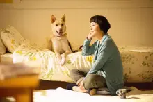 영화로 배우는, 반려동물과 더불어 잘 사는 법 