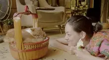 고양이를 좋아하세요? 고양이 영화들