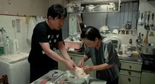 닭의 뱃속에 온갖 재료 넣고 봉합한다고 끝이 아닌, 오래 푹 끓여야 비로소 완성되는 수프?