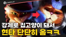 장화신은 고양이가 장화 버리고 집으로 들어간 이유