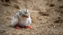 순천시, 파타고니아 그리고 <수라>