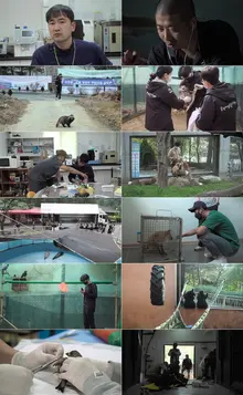 야생동물 보호구역 다큐 〈생츄어리〉 스틸 공개