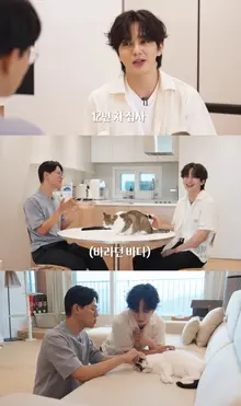 '12-Year Cat Butler' Yoo Seung-ho Appears on YouTube's 'Miyangcheol's Nyangnyang Punch'.. 