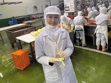 Đòn bẩy của doanh nhân Hong Jin-kyung, công khai nội bộ nhà máy kimchi... Vệ sinh nghiêm ngặt cho 'Chân thủy mộc và cá ướp cao cấp'