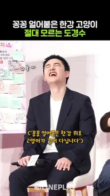 이상하게 얼어붙은 도경수 고양잌ㅋㅋㅋㅋ #말할수없는비밀