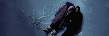 넘었다! 넘을 거다! 52만 돌파한 〈서브스턴스〉의 적수들(?)