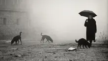 [照片&] '撒旦探戈' 大師貝拉·塔爾... 他留下的獨特視覺遺產和電影瞬間