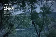 【首映反應】《殺沐池》Cineplay 記者評分