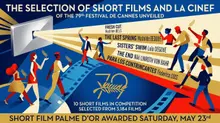 79th Cannes Film Festival Short Film Lineup Announced: Hongik University’s “BIRD RHAPSODY” Scores a Major Breakthrough