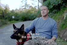 ¿Cuatro perros para interpretar a uno? «Heart of the Beast» se reserva el premio al mejor actor canino por delante de Brad Pitt