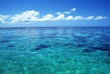 휴가는 바다로 가야 한다는 사람들을 위한 VOD 5편