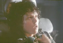 여성 액션 배우의 계보를 살펴봅시다