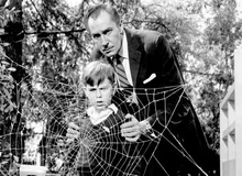 [3월 넷째주 할리우드 소식] '슈퍼맨' 헨리 카빌, <미션 임파서블 6> 출연