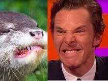 동·식물, 각종 캐릭터와 절묘하게 닮은 배우들