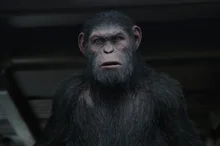 3부작의 근사한 완성! <혹성탈출: 종의 전쟁> 언론 시사 첫 반응