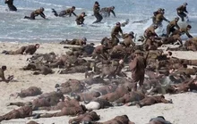 기네스북에 오를 만큼 많은 엑스트라를 동원한 영화들