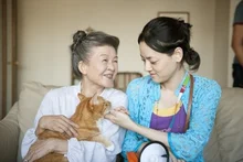 '힐링 영화'의 어머니, 오기가미 나오코의 영화들