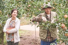 <리틀 포레스트>, <궁합> 등 3월 첫째 주 개봉작 전문가 평은?