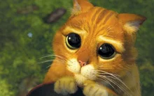 해외 매체 선정, 영화 속 유명한 고양이 25