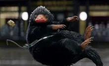 <신동사>, <신동범>에 등장한 신비한 동물들의 프로필!