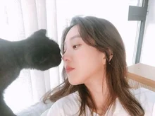 소문난 국내외 고양이 집사 배우들