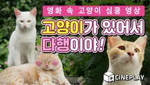 고양이가 있어서 다행이야! 영화 속 고양이 심쿵 영상!