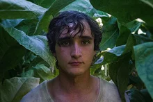 데뷔작으로 대체불가한 연기를 선보인 배우들