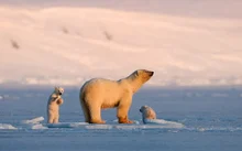 직접 다녀온 기자가 알려주는 울주세계산악영화제 즐기는 꿀팁 다섯 가지