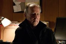 다른 감독 영화에 출연한 감독들의 활약상