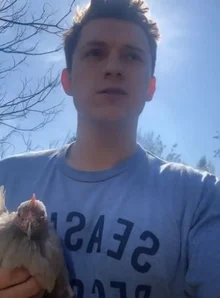 야, 너두 재밌게 할 수 있어! 할리우드 배우들의 자가격리 TIP 모음