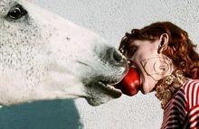 명감독들의 사진 실력을 알아보자