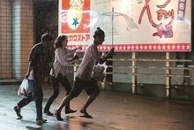 <너의 새는 노래할 수 있어>와 일본 청춘영화, 그리고 트라우마적 사건 이후의 세계