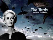 <킹콩 대 고질라> 1963년 우리나라에서 개봉된 적이 있다?