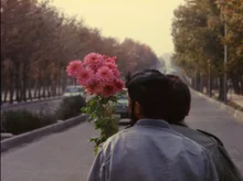 <성냥팔이 소녀의 재림>을 극장에서? 초여름의 영화 특별전