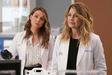 뉘예뉘예, 아직도 하고 있답니다! <그레이 아나토미> 등 '역대급 장수 미드' 좌표 점검