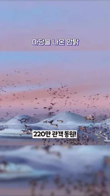 어디에 내놔도 빠지지 않는 극장판 K-애니 추천