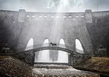 인간이 미안해! 동물의 시선에서, 동물의 이야기를 그리는 영화들