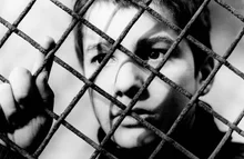 스필버그, 그레타 거윅, 알폰소 쿠아론... 감독이 영화로 만든 자전적인 이야기들