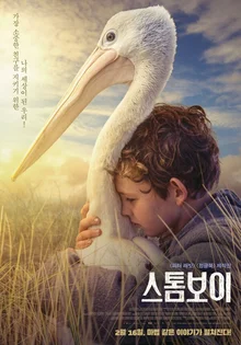 <스톰 보이> 펠리컨들에게 배운 소중하고 특별한 우정